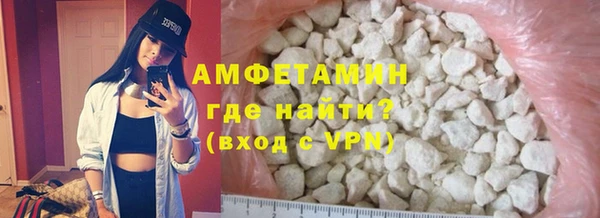 прущие грибы Вязники