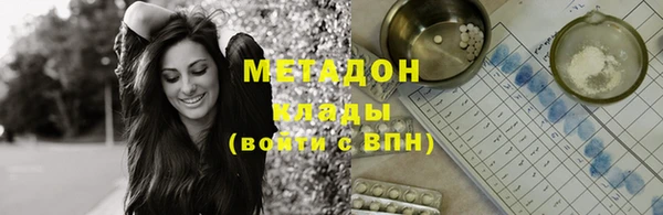прущие грибы Вязники