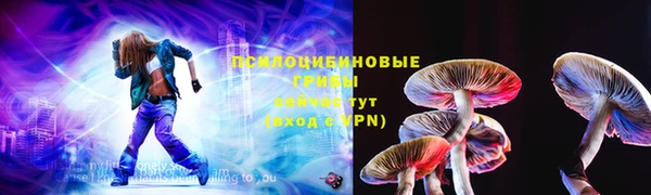 дурь Вяземский