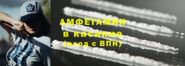 прущие грибы Вязники