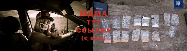 прущие грибы Вязники