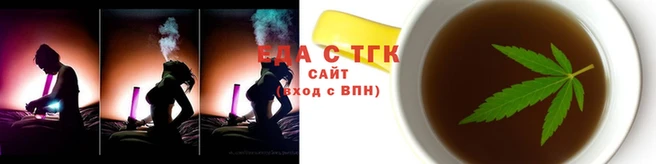 прущие грибы Вязники