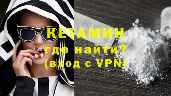 прущие грибы Вязники