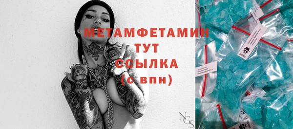 прущие грибы Вязники