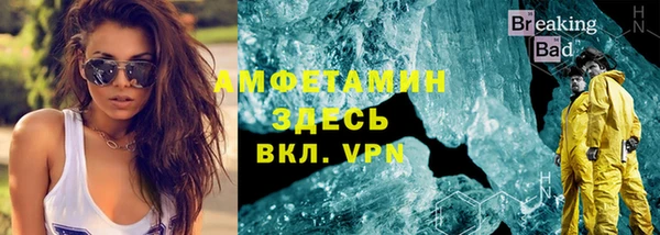 прущие грибы Вязники