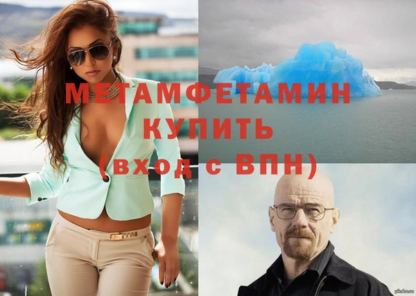 прущие грибы Вязники