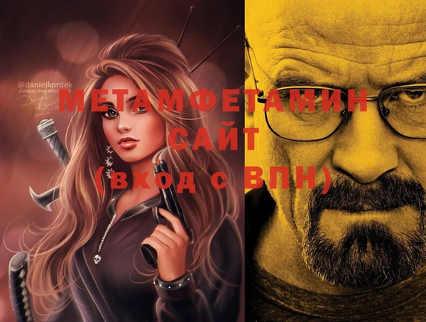 прущие грибы Вязники
