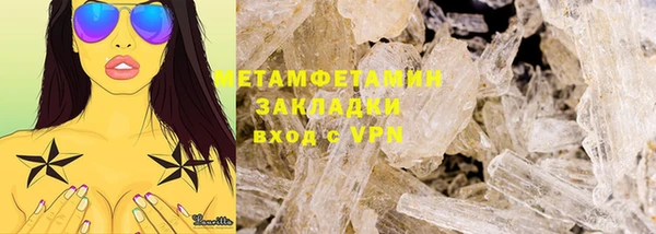 прущие грибы Вязники
