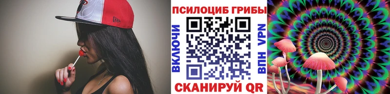 Купить  Нариманов  Псилоцибиновые грибы мицелий 